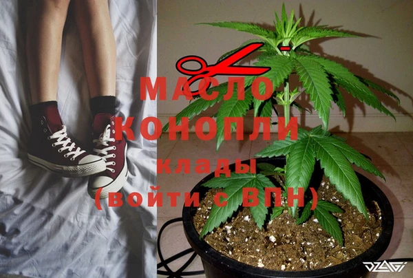 мяу мяу мука Бородино