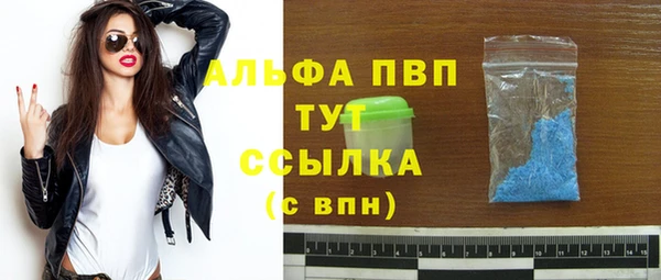 ешки Богданович